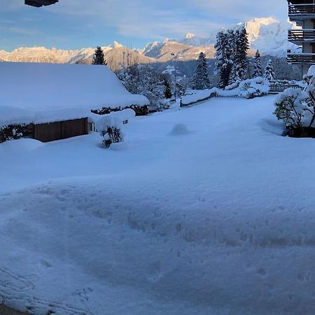 La Marmotte: Vue Mont Blanc, Terrasse, Parking Lägenhet Combloux Exteriör bild
