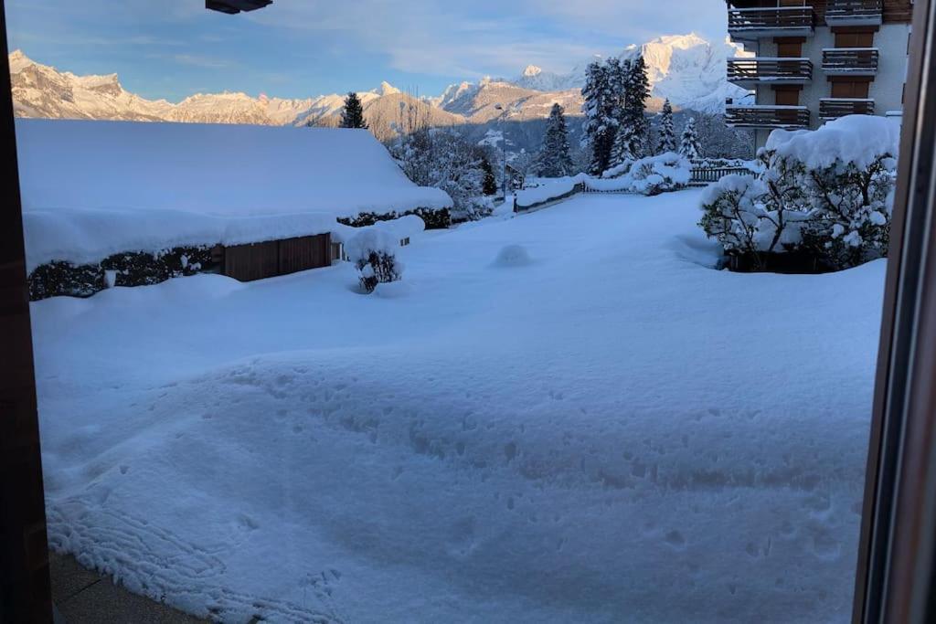 La Marmotte: Vue Mont Blanc, Terrasse, Parking Lägenhet Combloux Exteriör bild
